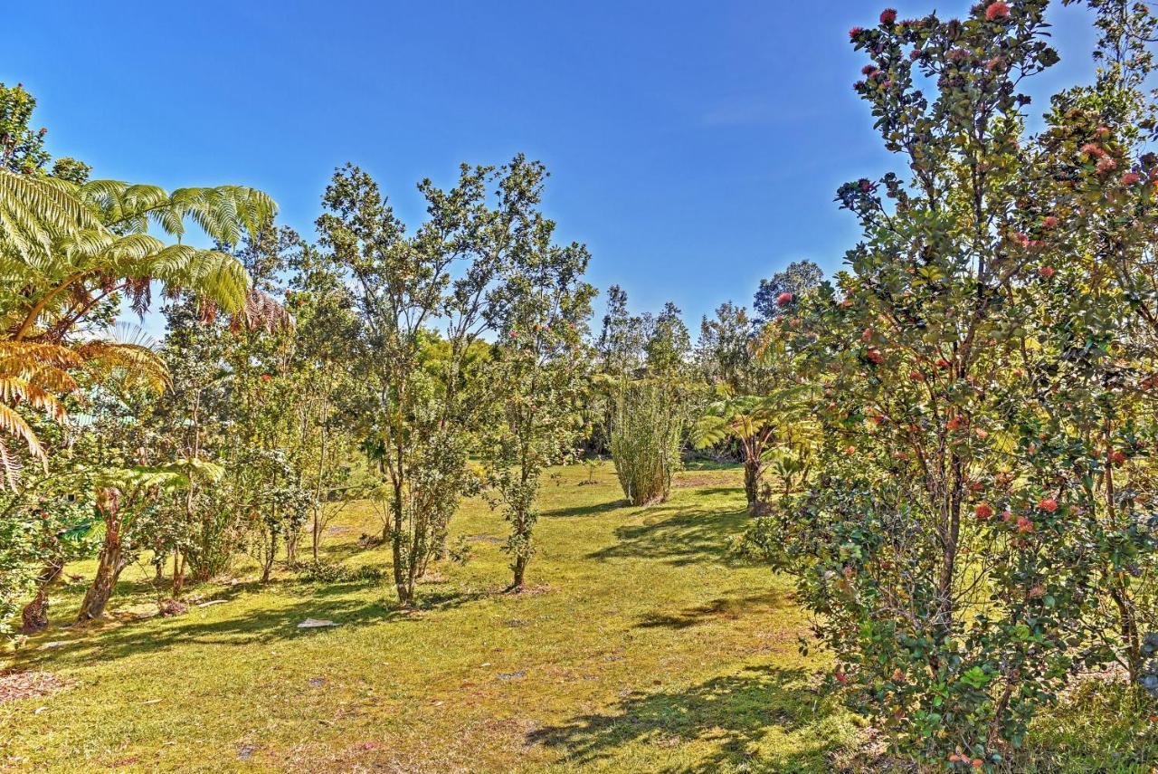Mountain View Cozy Volcano Studio With Phenomenal Rainforest Views מראה חיצוני תמונה