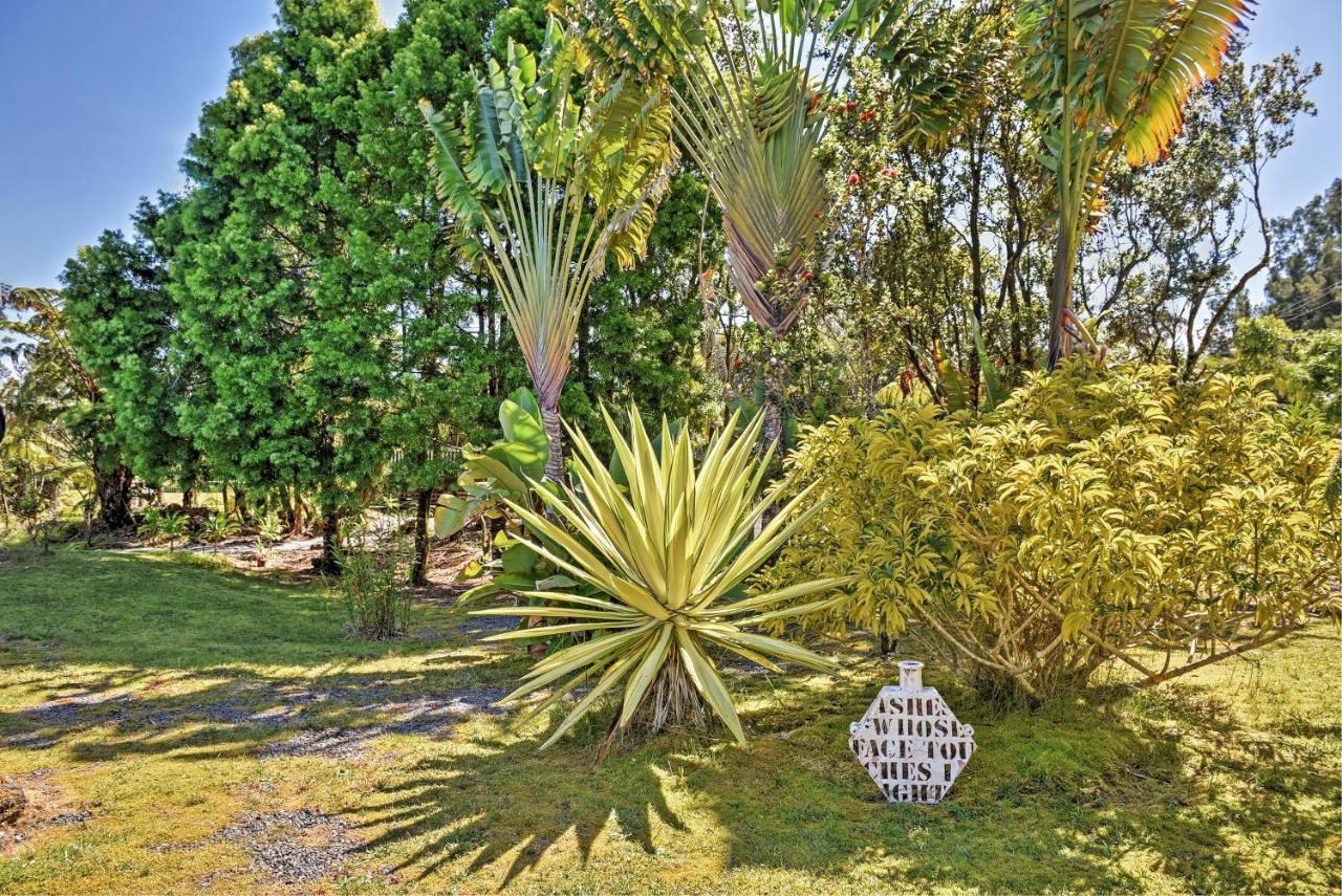 Mountain View Cozy Volcano Studio With Phenomenal Rainforest Views מראה חיצוני תמונה
